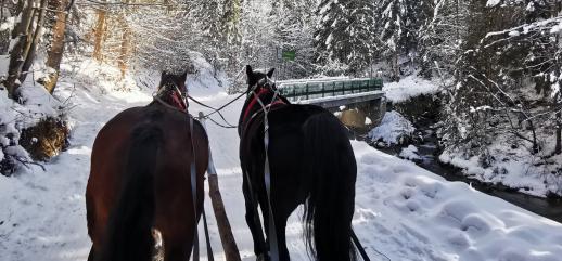 Anielskie Kuligi – tradycyjne kuligi w Wiśle