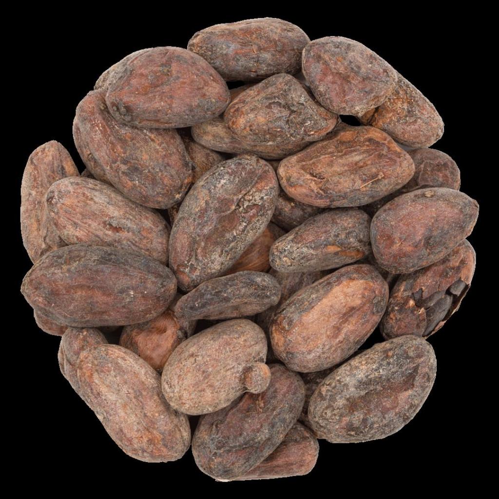 Głęboko aromatyczne kakao – Planteon